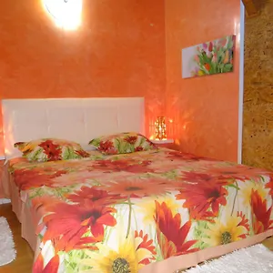 Orange Flower Bulgarien